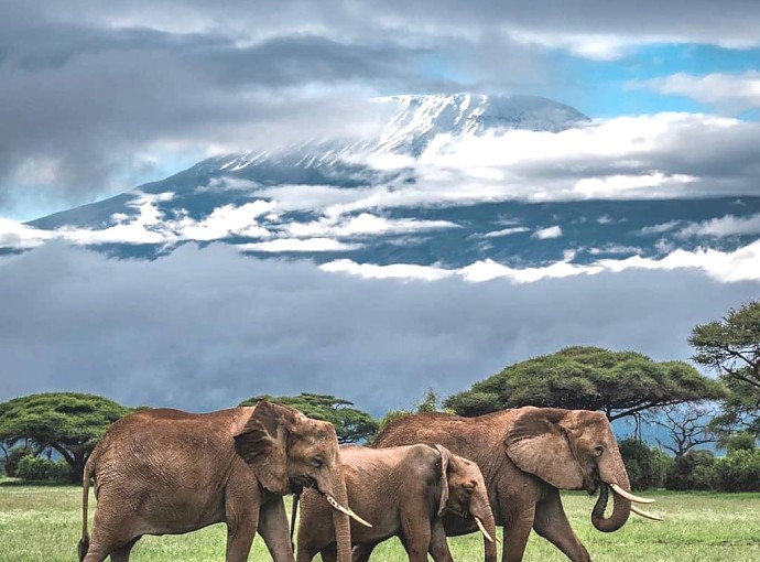 Kilimanjaro National Park-Tanzania